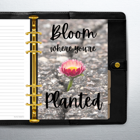 Bloom Where You're Planted Concrete Dashboard