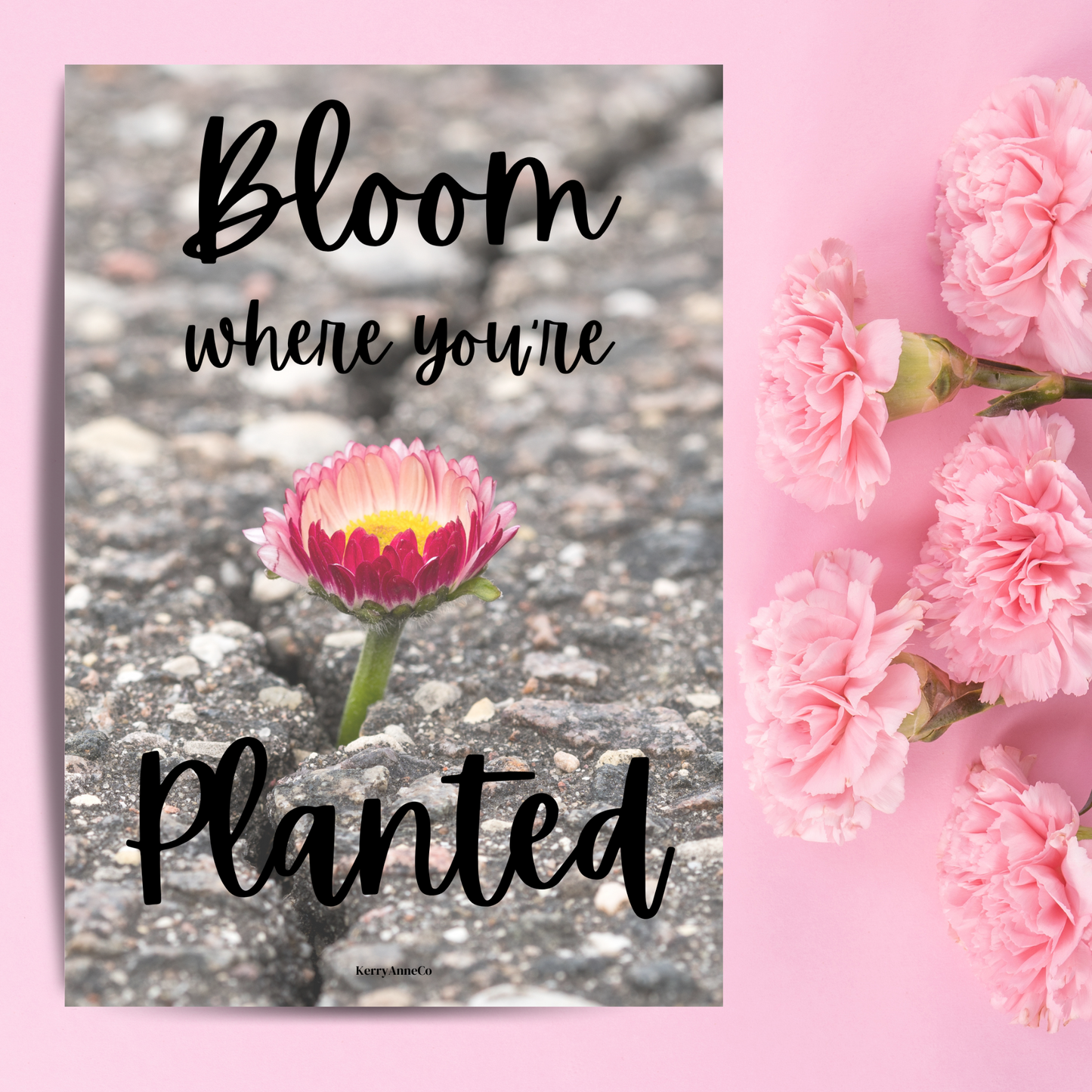 Bloom Where You're Planted Concrete Dashboard