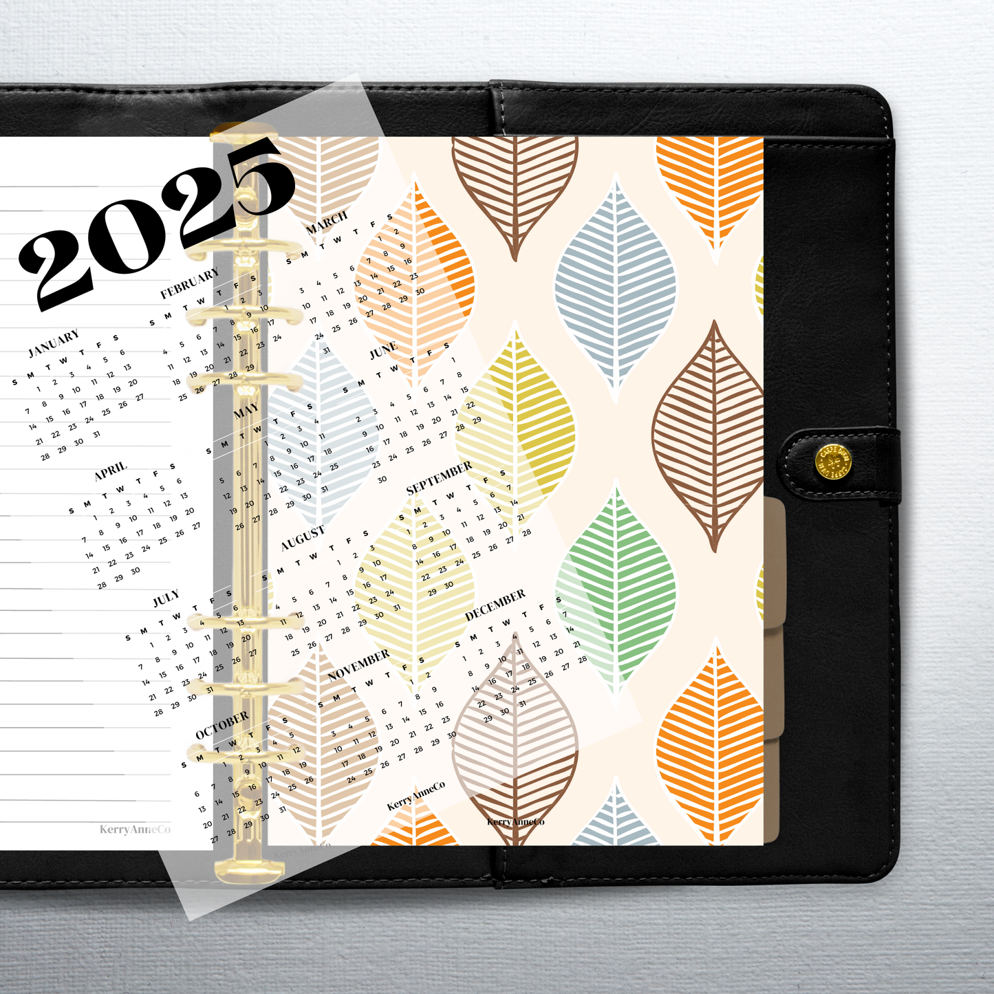 2025 Year-at-a-Glance Smooth Vellum Overlay Dashboard