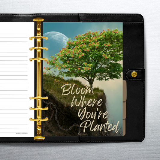 Bloom Where You're Planted Dashboard