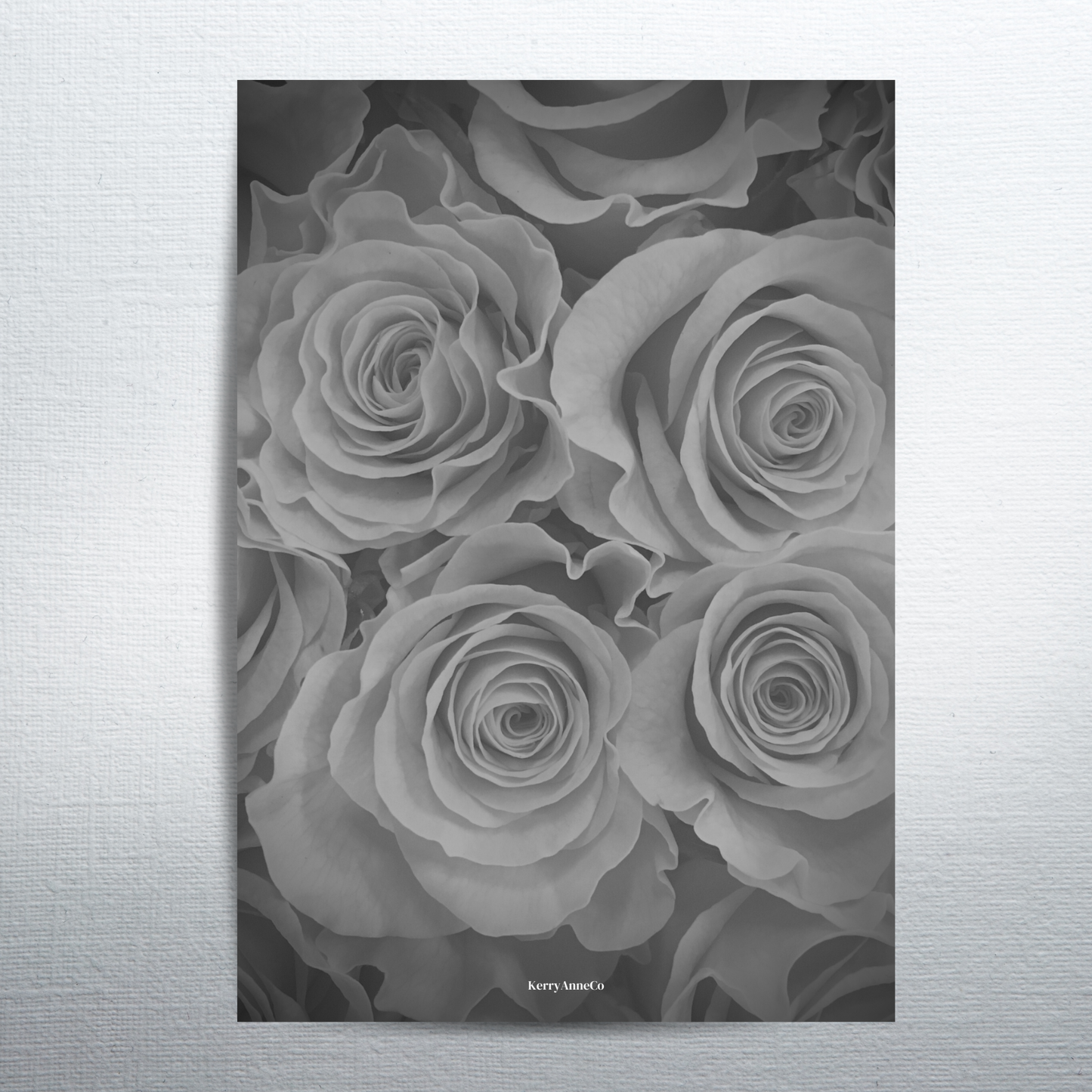 Grayscale Roses Dashboard